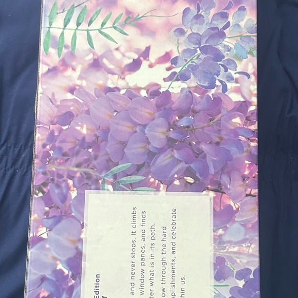 Calista Perfecter Pro Heated Round Brush 1.5 brand new - Picture 8 of 15